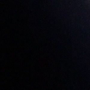 Meet your Posher, Shanice